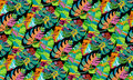 Image Not Available